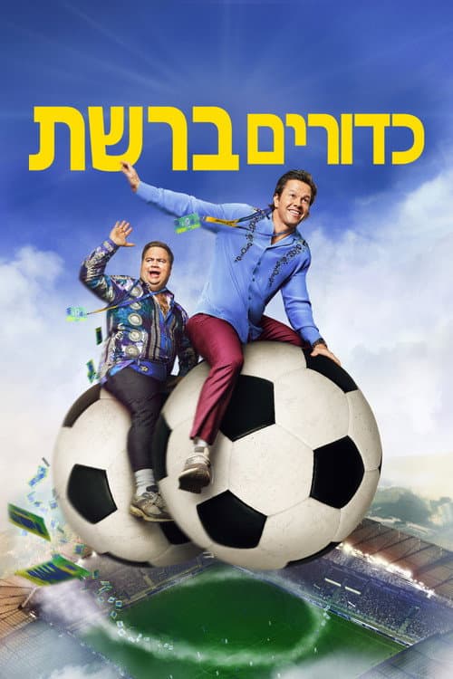 כדורים ברשת